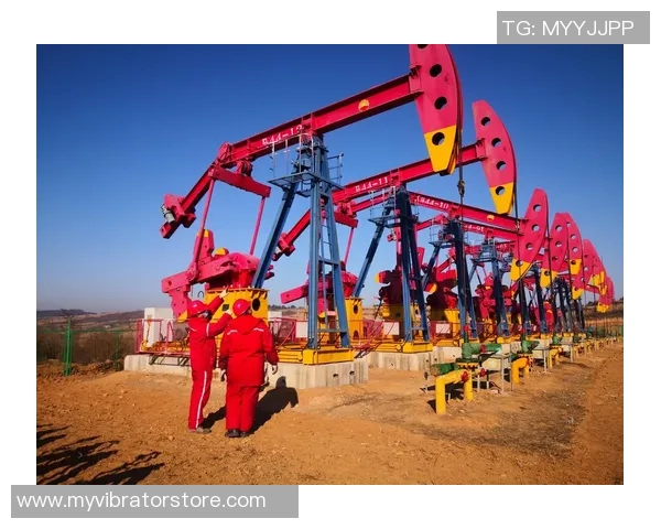 武汉极限运动队在比赛中创下新高经验排名再创新高峰