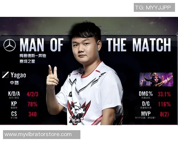 CSGO战术解析：深入探讨JDG战队的游戏节奏与策略运用