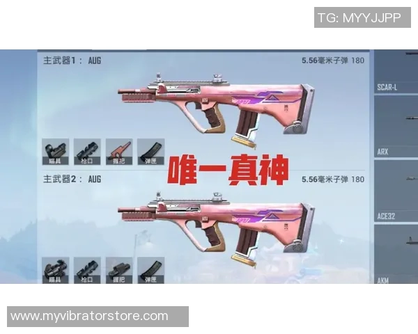 从零开始：全面解析和平精英团队协作与战术攻略