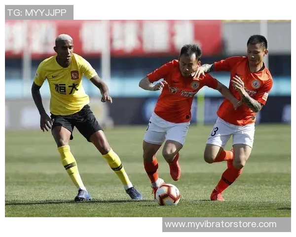 南京排球队比赛经验引发热议球迷观点分歧引发关注