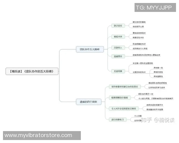 成都飞盘队团队协作表现的数据分析与提升策略探讨
